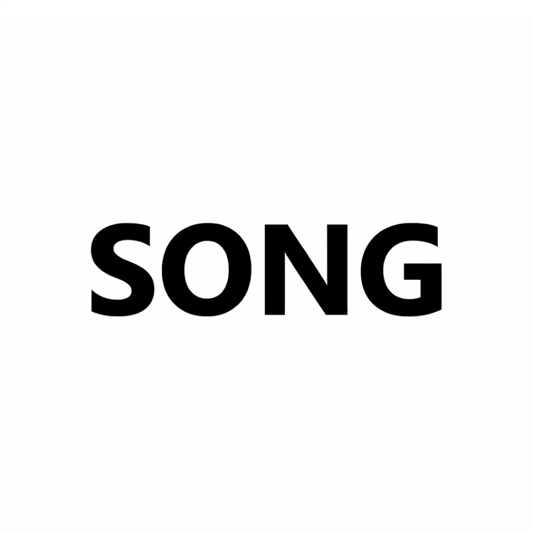 品牌-SONG